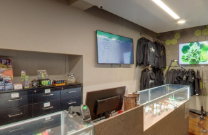 Buy Best Cannabis Products Sold By High Level Health Lincoln St.