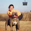 ManMade Kennels’ YouTube Channel Offers Free Education for Families Considering a Large-Breed Dog.