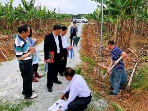 Fengshui Ma Conducts Feng Shui Consultations for Domestic Real Estate Developments