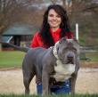Top 10 XL Pit Bull Breeders in America Revealed for 2025.
