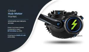 Hub Motor Market Size