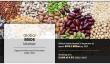 Seed Market to Pronounce $105.3 Billion by 2031, with a 4.5% CAGR | Growth and Industry Opportunities