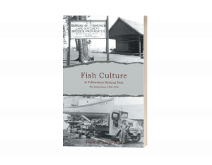 Fish Culture in Yellowstone National Park: The Early Years: 1900-1930