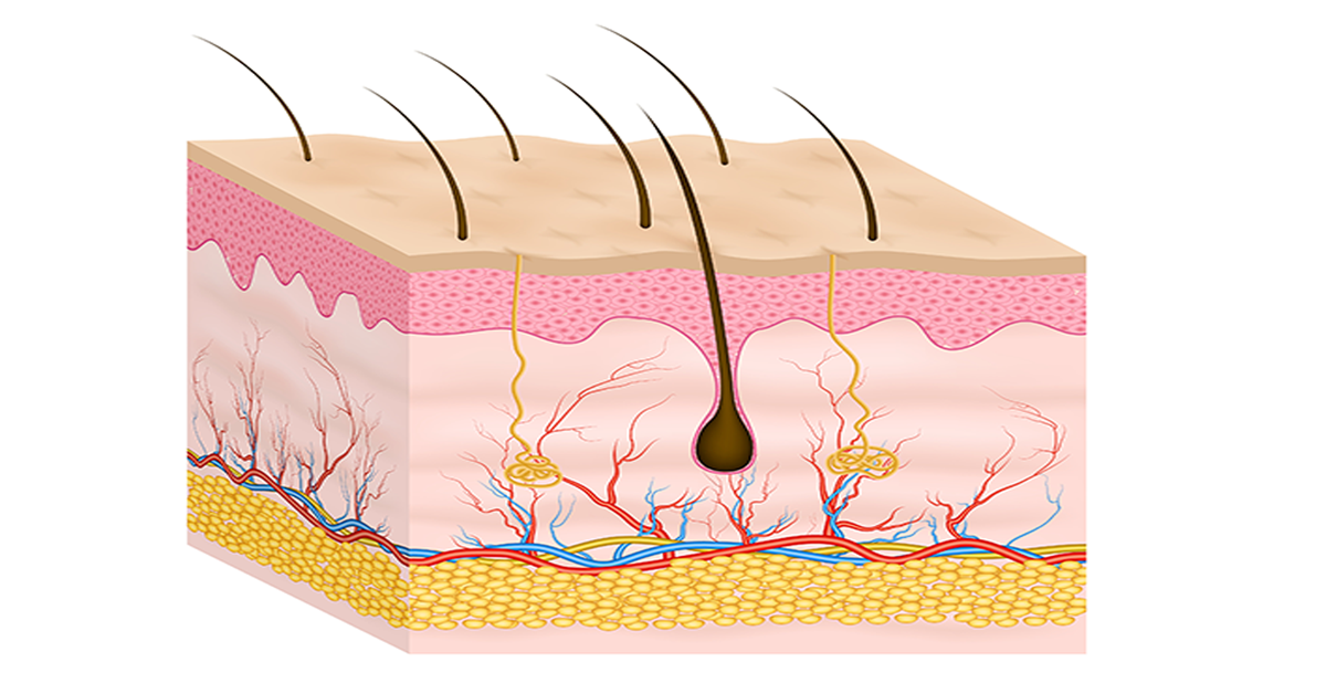 MLM Medical Labs Introduces Newly Validated MC903 Atopic Dermatitis ...