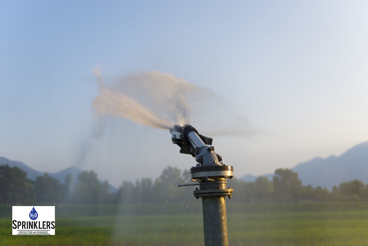 The Benefits of Installing a Sprinkler System