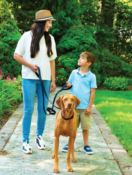 Sporn Please Com - The Sporn Company To Showcase An Industry-First Pet Product at SuperZoo 2023