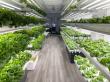 GP Solutions Announces Plan to Introduce GrowPods to Saudi Arabia, Revolutionizing Sustainable Farming in the Region