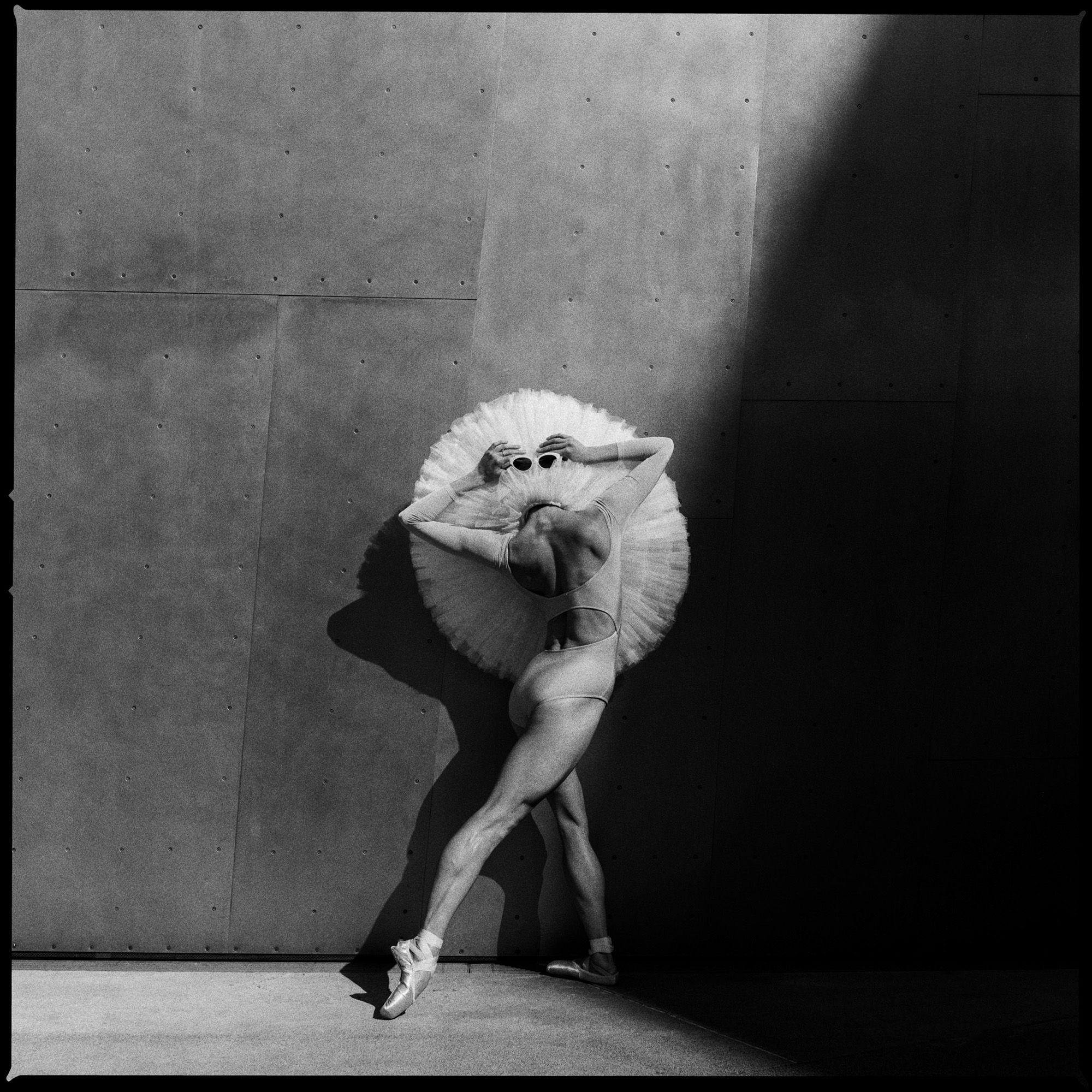 david hasselblad
