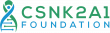 CSNK2A1 Foundation Awarded Funding to Advance Patient-Centered Research for Ultra-Rare Neurodevelopmental Disorders