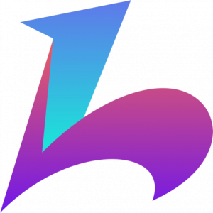 Market Leader in Web App Development & Website Management Napollo