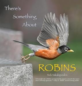 Colorful cover of book with bird in flight