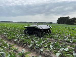 WeedSpider robotic weeder in a field of vegetable crops