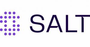 Salt Logo 4