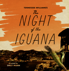 The Night of The Iguana Poster