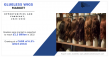 Glueless Wigs Market : Opportunities for Investment and Mergers and Acquisitions