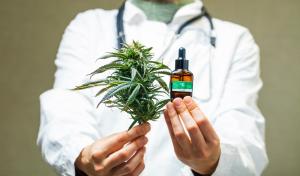Doctor offering cannabis as a treatment option.