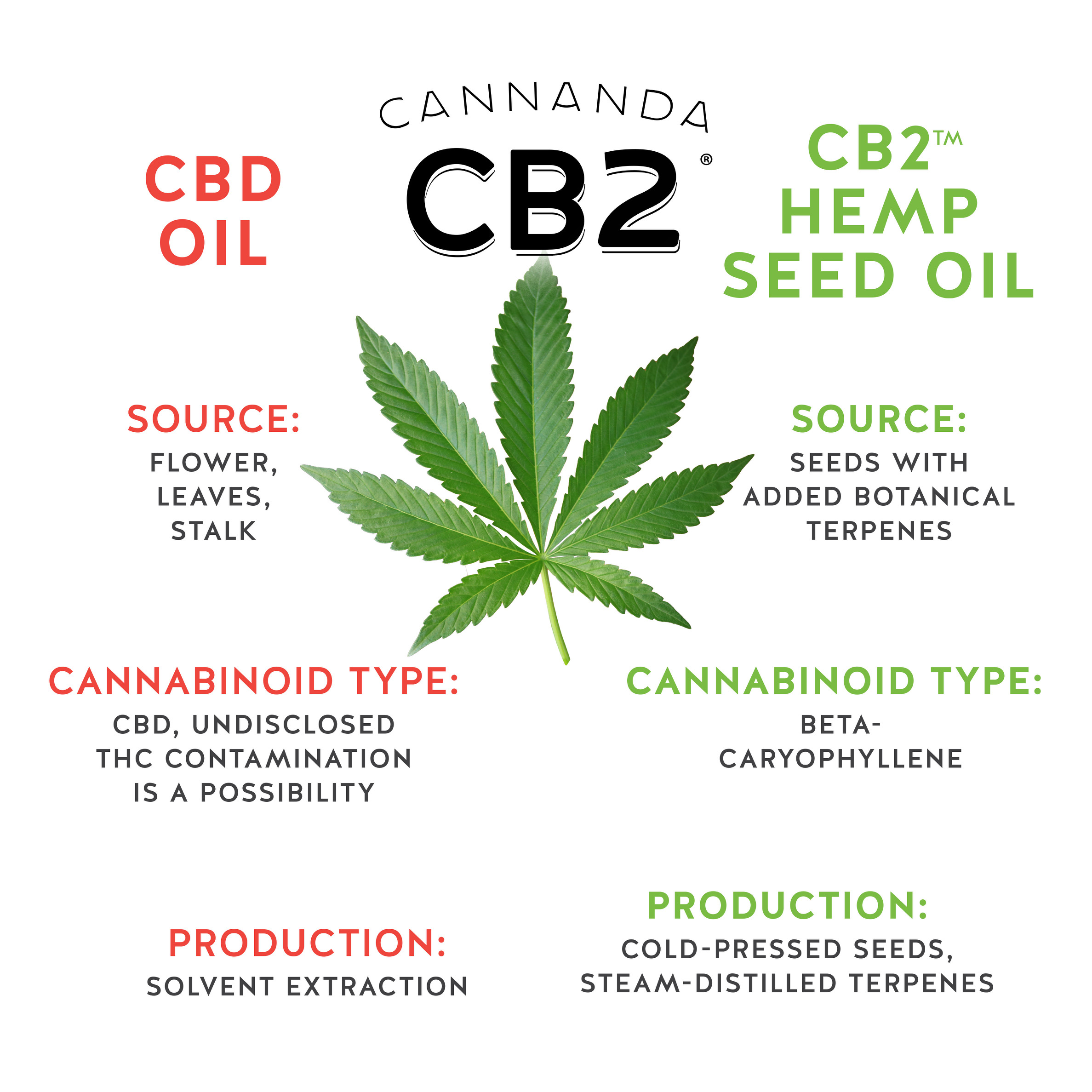 What is the Difference between Cbd Oil And Cb2 Oil  
