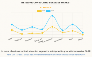 Network Consulting Services Market Segment