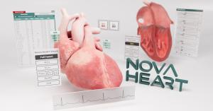 Nova Heart