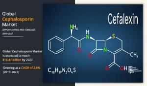 Cephalosporin Market2