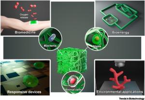 Biomimetic Materials Market Share