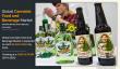 Cannabis Food and Beverage Market Share, Trends, Future Growth and Forecast