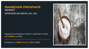 Magnesium Phosphate Market Size