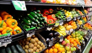 India Organic Food Market Size 2024