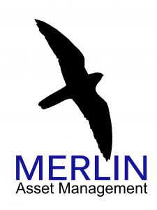 Merlin Asset Management - The Growth Strategy Company. Merlin Asset Management develops and manages Merlin Growth Strategy Portfolios focused on selecting what we believe are the best Small Cap Growth, SMID Cap Growth, and Large Cap Growth companies with 