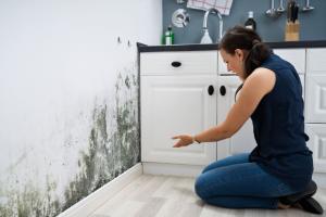 Mould in your home