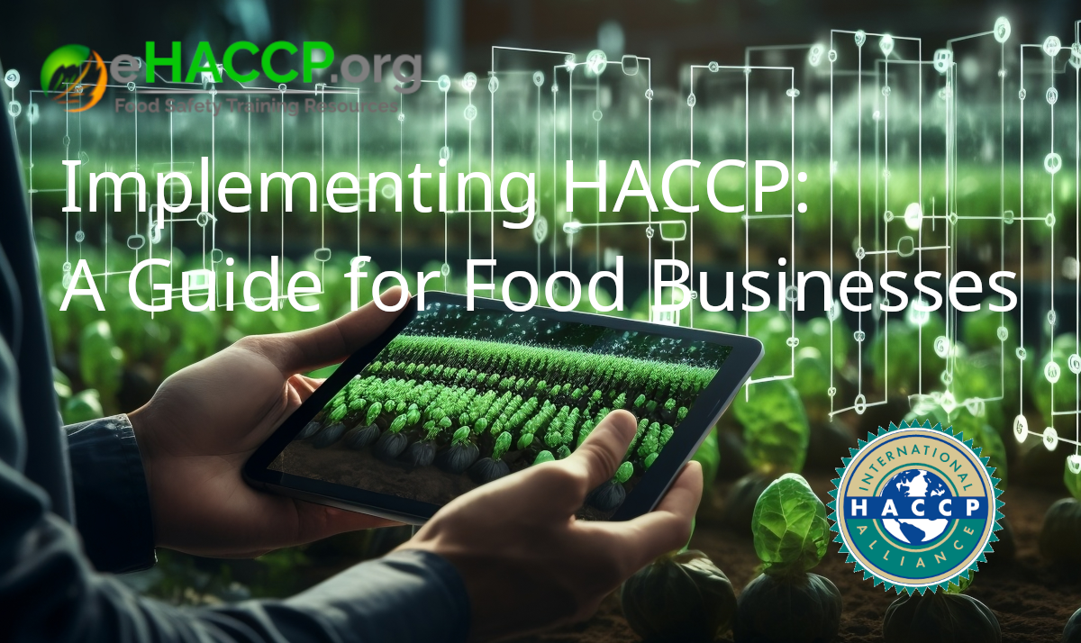 HACCP Training Essential For Food Safety Success World Food Services   20070563 Implementing A Haccp Plan 1200x714 