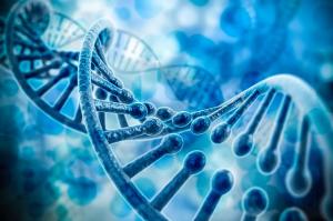 SNP Genotyping and Analysis Market