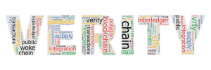 VERITY Word Cloud