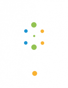 BULMA Solution logo