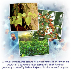 extracts flyer