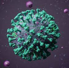Market Overview:
The influenza B market reached a value of US$ 6