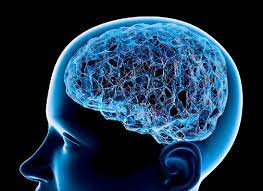 Market Overview:
The memory disorders market is expected to exhibit a CAGR of 5