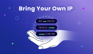 A palm holding a handful of Internet Protocol addresses
