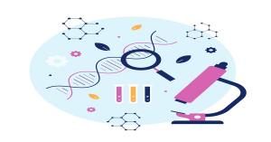 Stem Cell Therapy Market