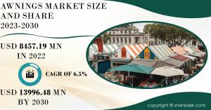 Awnings Market size