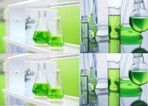 Green/Bio-based Solvents Market Outlook - 2021–2030