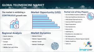 Telemedicine Market Trends 2024