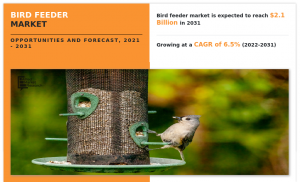 Bird Feeder Market 