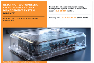 Electric Two-Wheeler Lithium-Ion Battery Management System Market demand