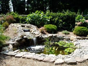 water garden, waterscape