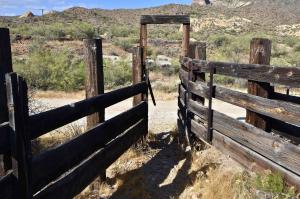 Cattle Chute