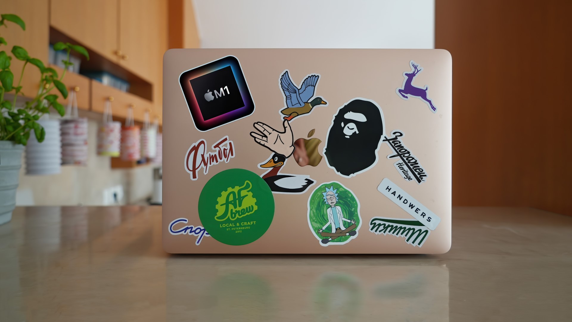 CustomStickers Embraces Sustainability with Eco-Safe Stickers and Green ...