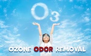 Home Odor Removal
