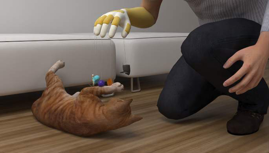 Glove to store play with cat