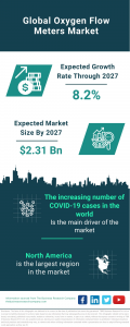  Oxygen Flow Meters Market Report 2024